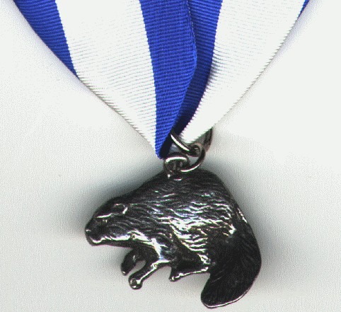 Silver Beaver Award